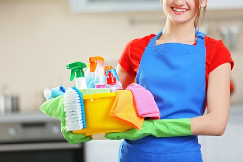Professional oven cleaning service for a Kingston home kitchen