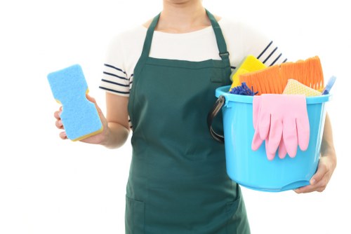 Professional carpet cleaning for a Kingston home interior