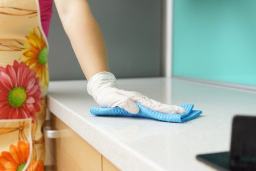 Domestic cleaner in Kingston working in a modern apartment living room