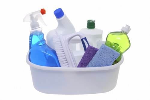 Bathroom deep clean for a Kingston residence
