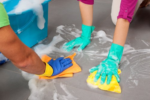 Local carpet cleaning service working in a Kingston apartment