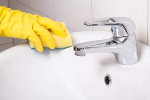 Professional window cleaning service in Kingston for homes and businesses