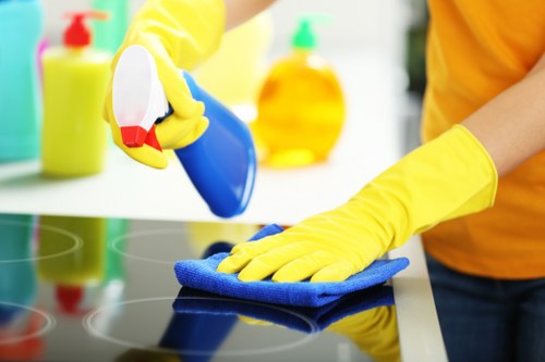 Careful stain removal service for stubborn spills and marked surfaces in Kingston