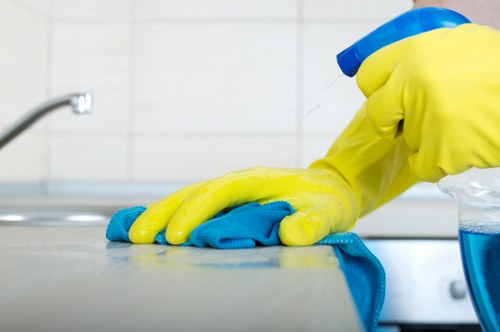 Deep cleaning treatment for a rug in Kingston