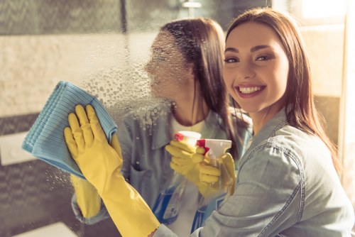 Browser settings for managing Cleaner Kingston cookies