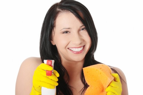 Stain and odour treatment for mattress cleaning in Kingston