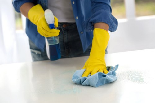 Pet stain odour treatment for a mattress in a Kingston property