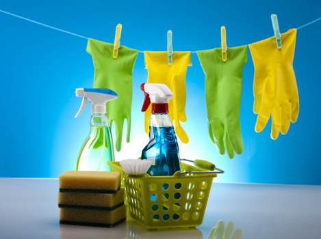 Aftercare-focused pet stain and smell removal service for Kingston customers