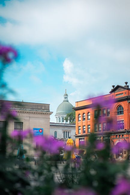 The image features a cityscape viewed from a viewpoint with blurred purple flowers in the foreground, adding depth to the scene. In the middle ground, there are various buildings including a prominent red-brick structure with arched windows and a classical white building with a dome and spire, indicative of historical architecture. The sky above is partly cloudy with patches of blue visible, providing natural lighting that highlights the cleanliness and maintenance of the urban environment. This setting reflects a vibrant, well-kept area, suitable for highlighting deep cleaning and surface maintenance services that Cleaner Kingston offers, especially in municipal and commercial spaces. Visual elements like the tidy surfaces, clear windows, and well-preserved facades underscore the importance of regular surface cleaning, sanitisation, and upkeep, illustrating the company's expertise in comprehensive domestic and commercial cleaning solutions across Kingston.